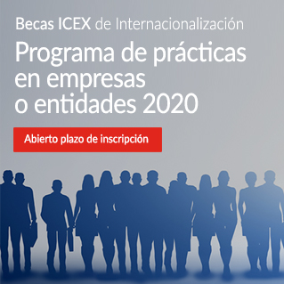 PRÁCTICAS EN EMPRESAS 2020