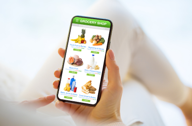 Factores clave para el éxito en el negocio del E-Food en el mercado alemán 