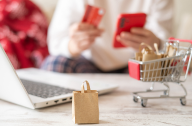 Compra online ordenador bolsa carro y tarjeta de crédito