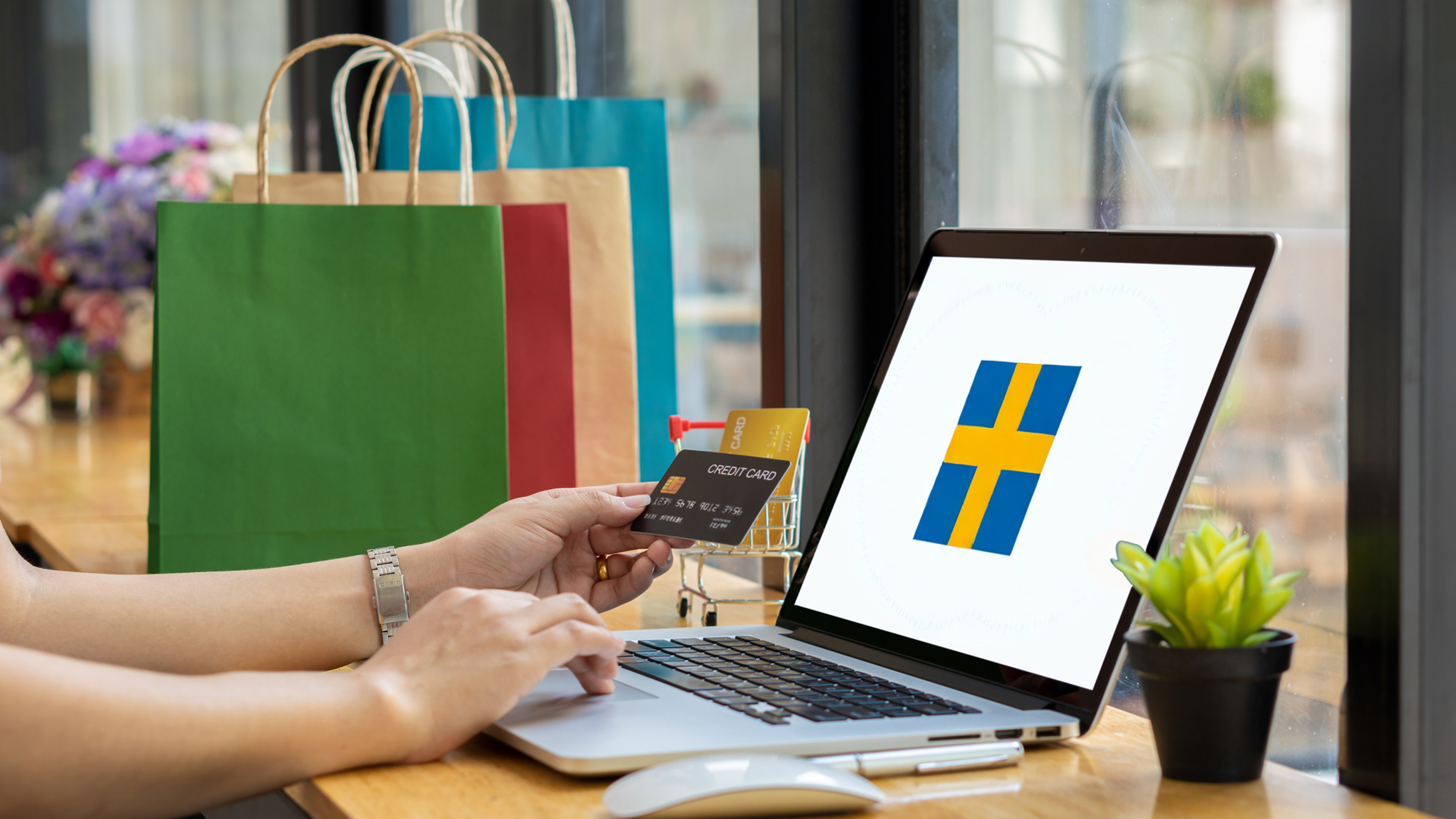 Young women enjoy simple bank payment services, send shopping bags, shop online, hold credit cards.