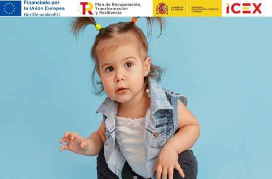 Plataforma digital B2B ORDERWIZZ 2024-2025